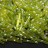 Бисер японский Miyuki Twisted Bugle 12мм #0258 chartreuse, радужный прозрачный, 10 грамм - Бисер японский Miyuki Twisted Bugle 12мм #0258 chartreuse, радужный прозрачный, 10 грамм